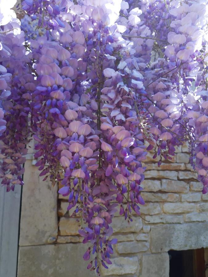 Wisteria Cottage Les Adjots Ngoại thất bức ảnh